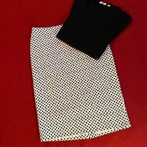 Lord & Taylor Pencil Skirt